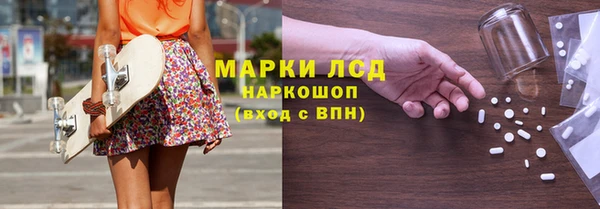 гашик Арсеньев