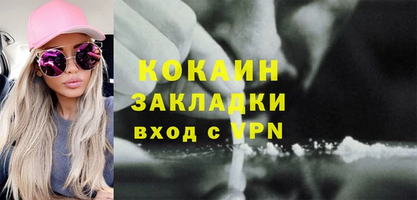 гашик Арсеньев