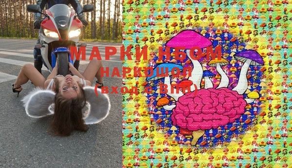 гашик Арсеньев