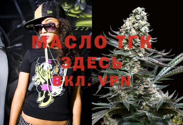 гашик Арсеньев