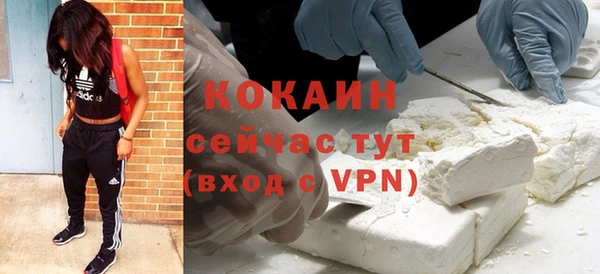 гашик Арсеньев