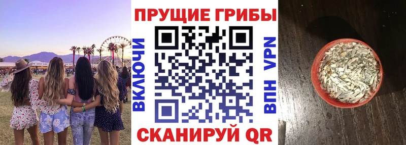 наркота Тюкалинск Псилоцибиновые грибы Magic Shrooms